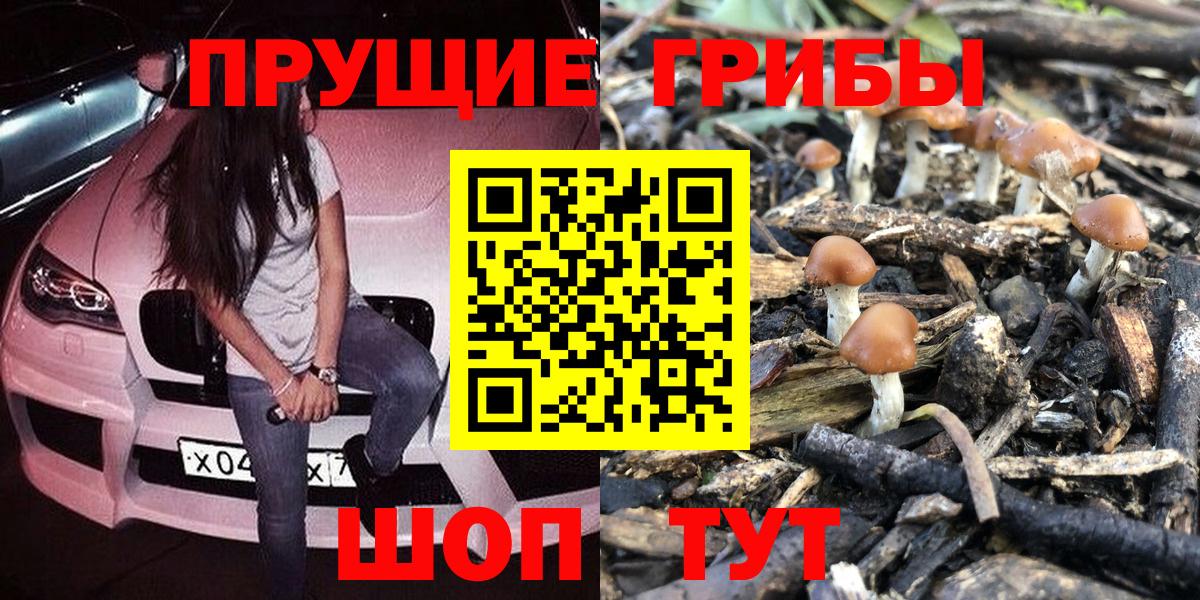 Галлюциногенные грибы Psilocybe  Псилоцибиновые грибы мухоморы  Вход с VPN  Югорск 