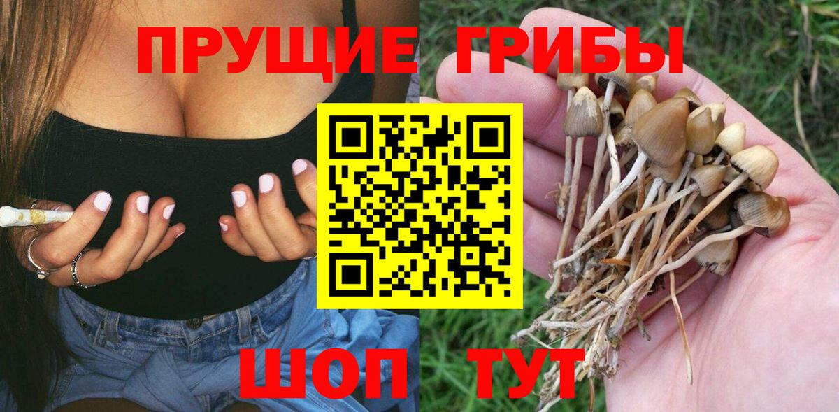 Псилоцибиновые грибы ЛСД Югорск