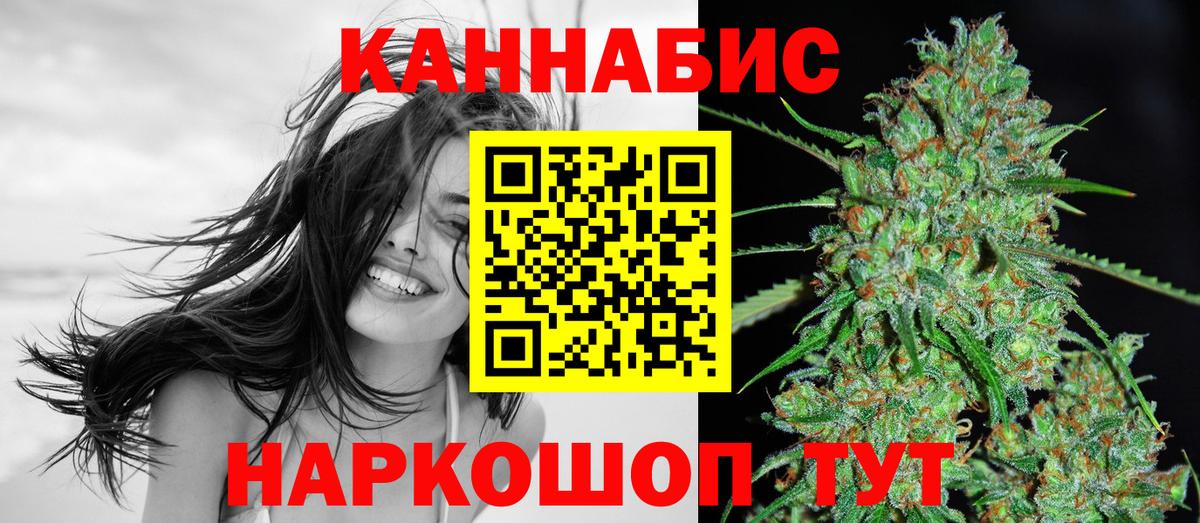 Конопля сатива Югорск